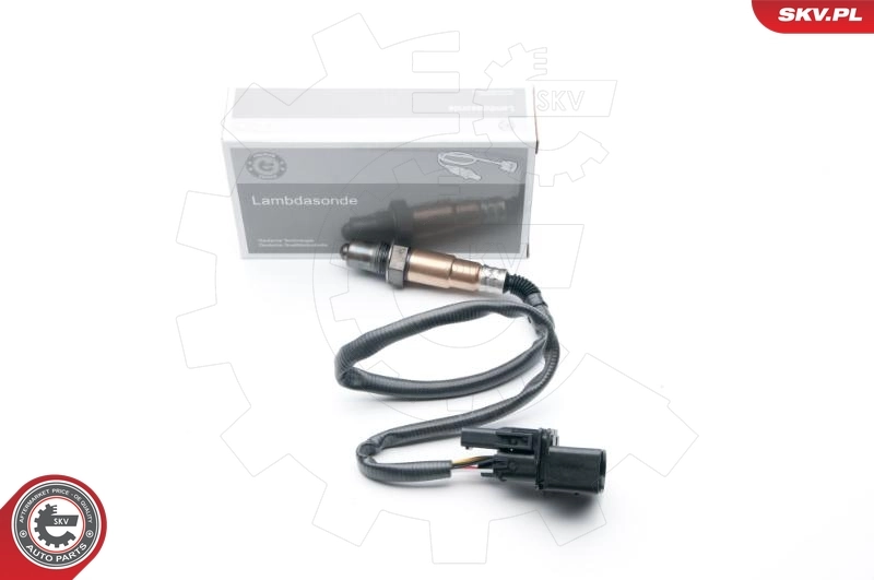 Oxygen Sensor